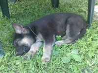 25052009927.jpg
