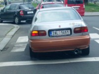 25072012981.jpg
