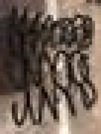 26196162_1948279491852054_6650688938254672310_n.jpg