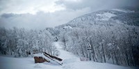 5_DSC_3574.jpg