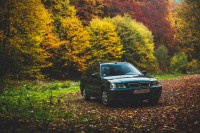 _MG_6386-Edit.jpg