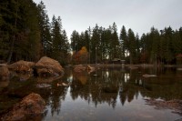 _MG_9032.jpg