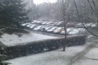 aaaIMAG0308.jpg