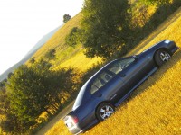 accord2.JPG