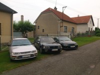 acleco.jpg