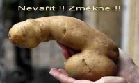 clanok_foto_473.jpg