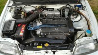 crx_03.jpg