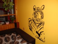DSC02242.JPG