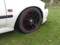 DSC_0091[1].jpg