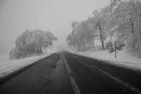 DSC_0134.jpg