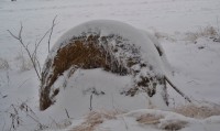 DSC_0139.jpg