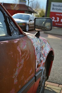 DSC_0202x.jpg