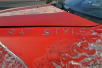 DSC_0204.JPG