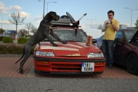 DSC_0212.JPG