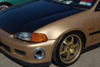 DSC_0331.jpg