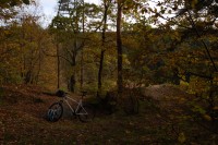 DSC_0885.JPG