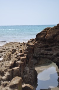 DSC_0979.JPG