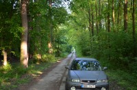DSC_1062.JPG