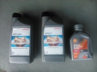 DSC_1337.jpg