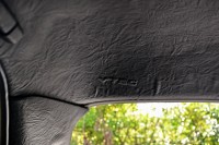 DSC_1854.JPG