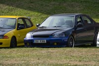 DSC_2392_c.jpg