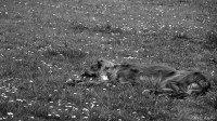 DSC_3195.jpg