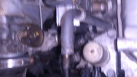 DSC_3231.jpg