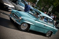 DSC_4239.jpg