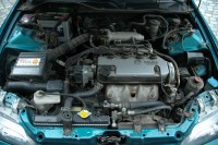 DSC_6665.JPG
