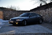 DSC_6728.JPG