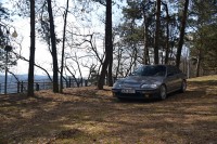 DSC_6834u.jpg
