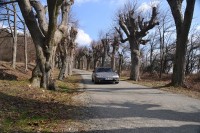 DSC_6846u.jpg