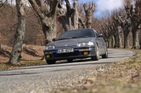 DSC_6852.JPG