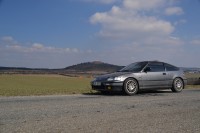 DSC_6859.JPG