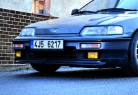 DSC_7259.JPG