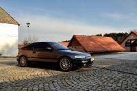 DSC_7364.JPG