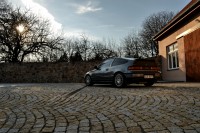 DSC_7377-1.jpg