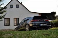 DSC_7394.JPG