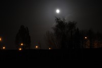 DSC_9068.JPG