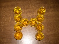 DSCN1537.JPG