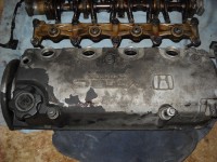 DSCN5815.JPG