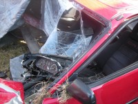 DSCN6393.jpg