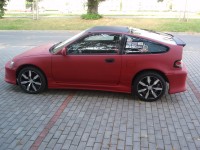 foto11.jpg
