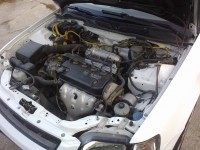 foto196.jpg