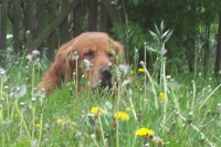 foto 022.jpg
