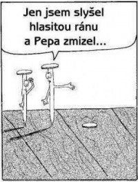 hřebík.jpg