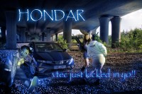 hondatar.jpg