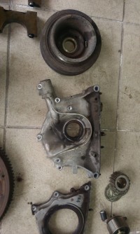 IMAG0156.jpg