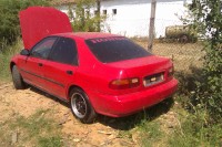 IMAG0303.jpg