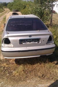 IMAG0308.jpg